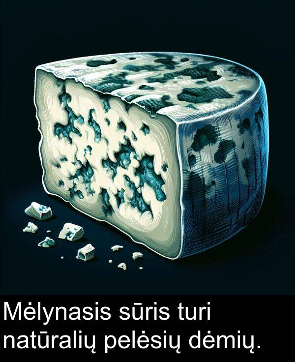 natūralių: Mėlynasis sūris turi natūralių pelėsių dėmių.