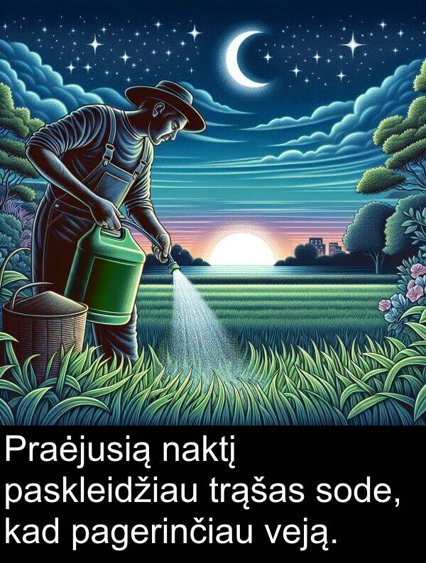 naktį: Praėjusią naktį paskleidžiau trąšas sode, kad pagerinčiau veją.