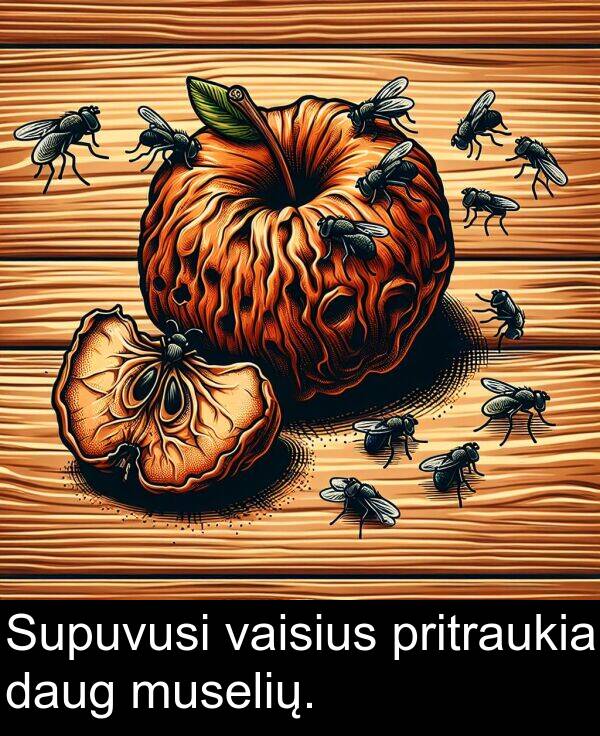 daug: Supuvusi vaisius pritraukia daug muselių.