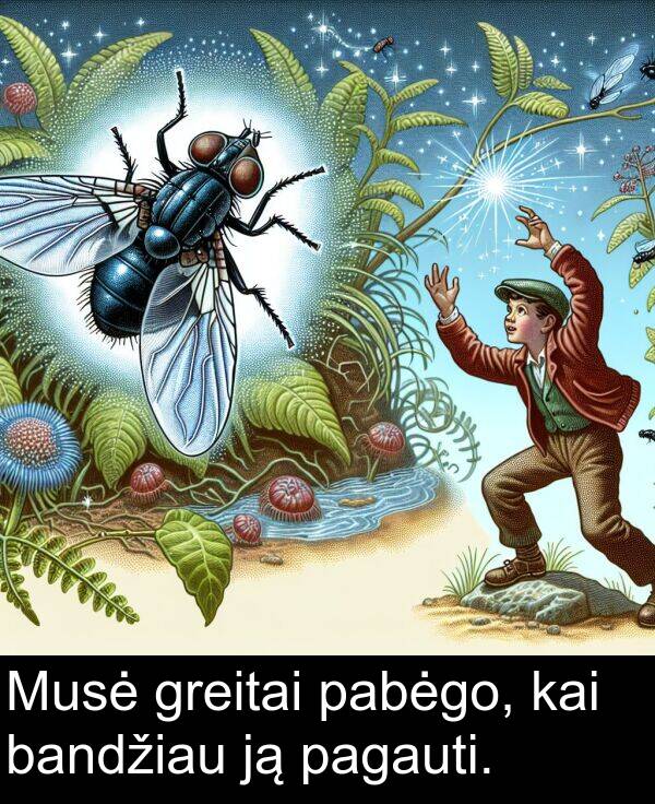 kai: Musė greitai pabėgo, kai bandžiau ją pagauti.
