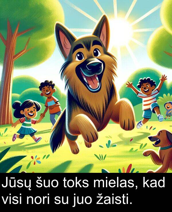žaisti: Jūsų šuo toks mielas, kad visi nori su juo žaisti.