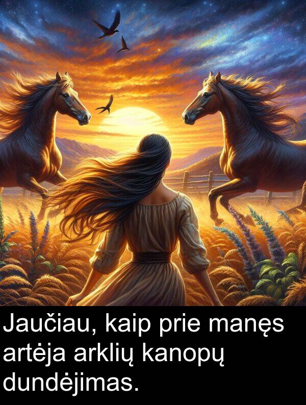 kaip: Jaučiau, kaip prie manęs artėja arklių kanopų dundėjimas.