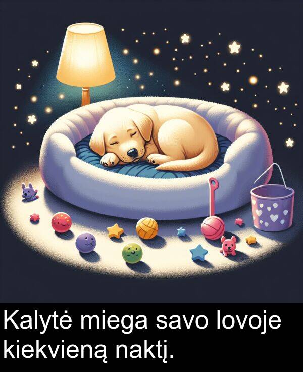 naktį: Kalytė miega savo lovoje kiekvieną naktį.
