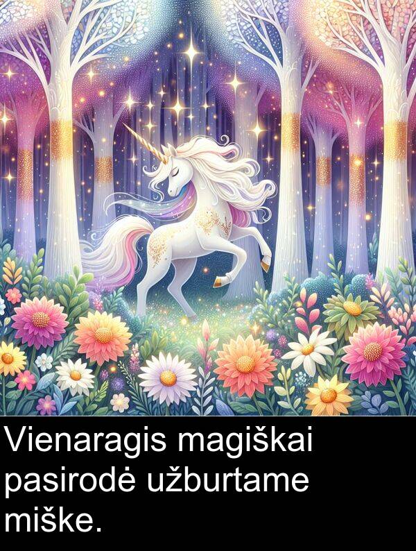 magiškai: Vienaragis magiškai pasirodė užburtame miške.