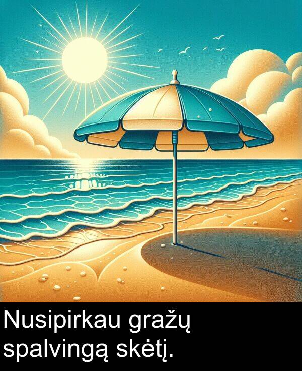skėtį: Nusipirkau gražų spalvingą skėtį.