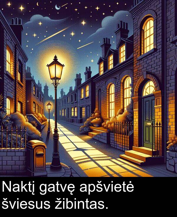šviesus: Naktį gatvę apšvietė šviesus žibintas.