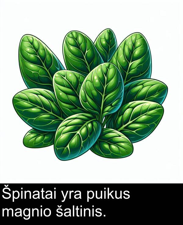 šaltinis: Špinatai yra puikus magnio šaltinis.