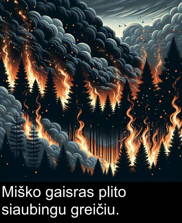 plito: Miško gaisras plito siaubingu greičiu.