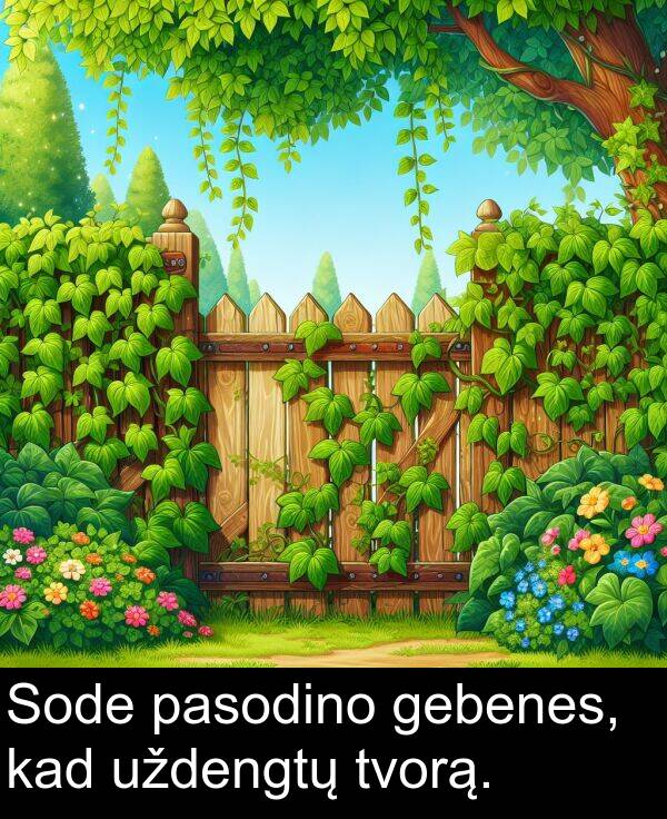 kad: Sode pasodino gebenes, kad uždengtų tvorą.