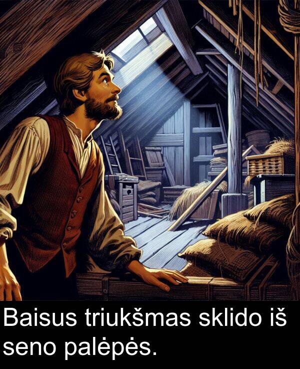 triukšmas: Baisus triukšmas sklido iš seno palėpės.