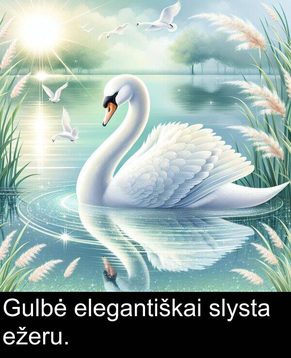 ežeru: Gulbė elegantiškai slysta ežeru.