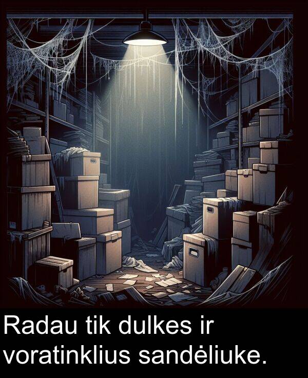 sandėliuke: Radau tik dulkes ir voratinklius sandėliuke.