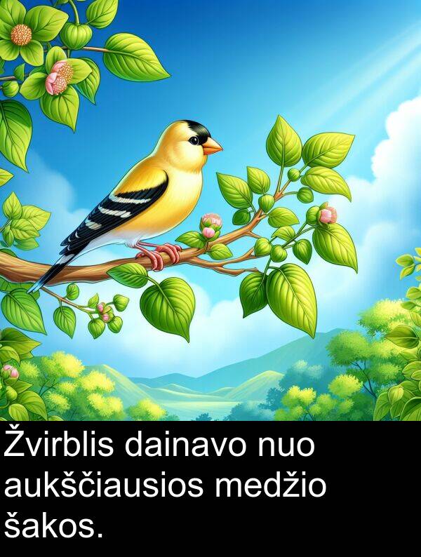 šakos: Žvirblis dainavo nuo aukščiausios medžio šakos.
