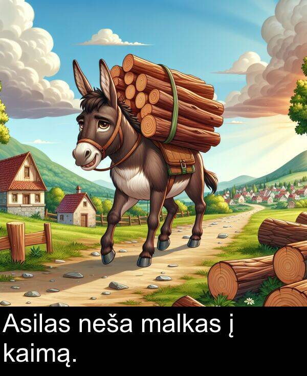 malkas: Asilas neša malkas į kaimą.
