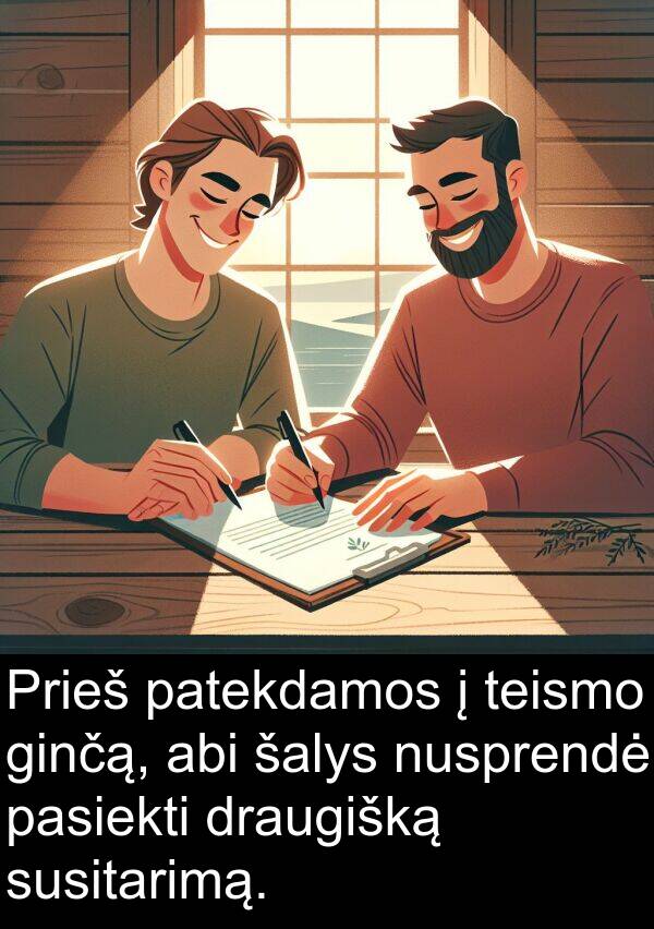 šalys: Prieš patekdamos į teismo ginčą, abi šalys nusprendė pasiekti draugišką susitarimą.