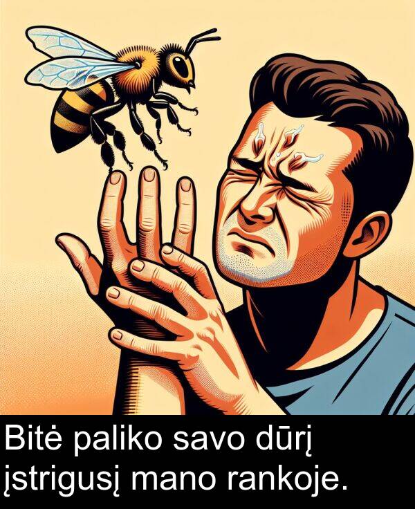 rankoje: Bitė paliko savo dūrį įstrigusį mano rankoje.