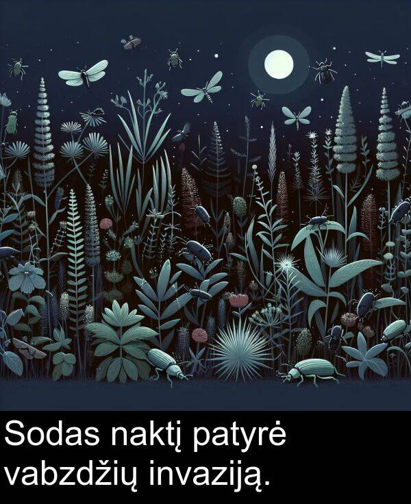 naktį: Sodas naktį patyrė vabzdžių invaziją.