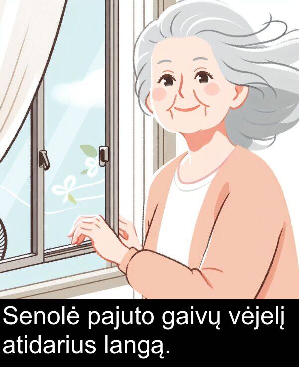 gaivų: Senolė pajuto gaivų vėjelį atidarius langą.