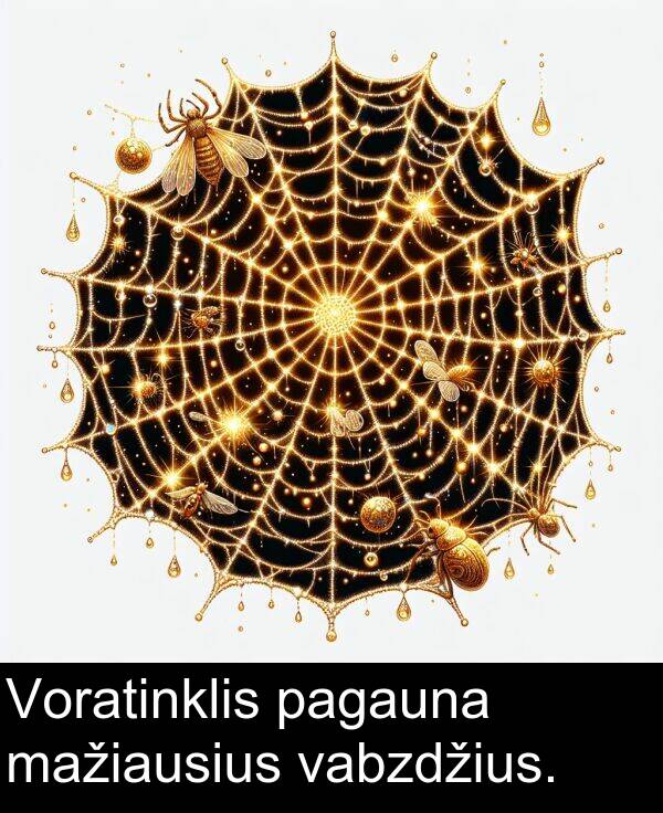 vabzdžius: Voratinklis pagauna mažiausius vabzdžius.