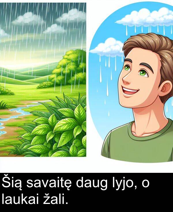 daug: Šią savaitę daug lyjo, o laukai žali.