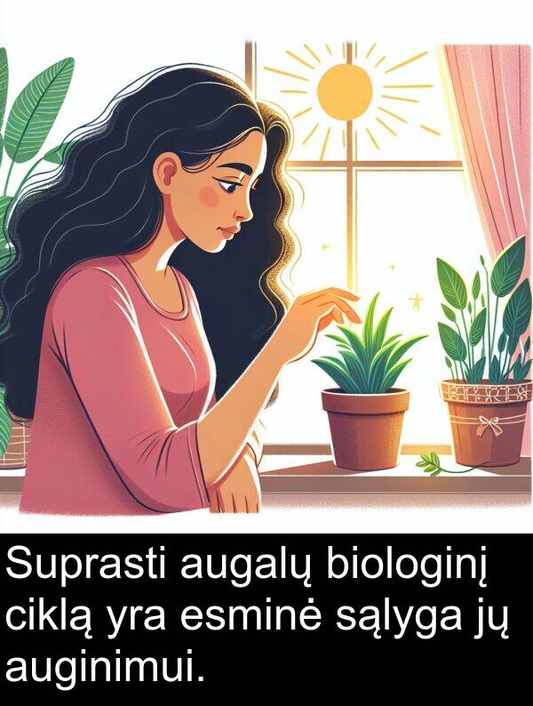 ciklą: Suprasti augalų biologinį ciklą yra esminė sąlyga jų auginimui.