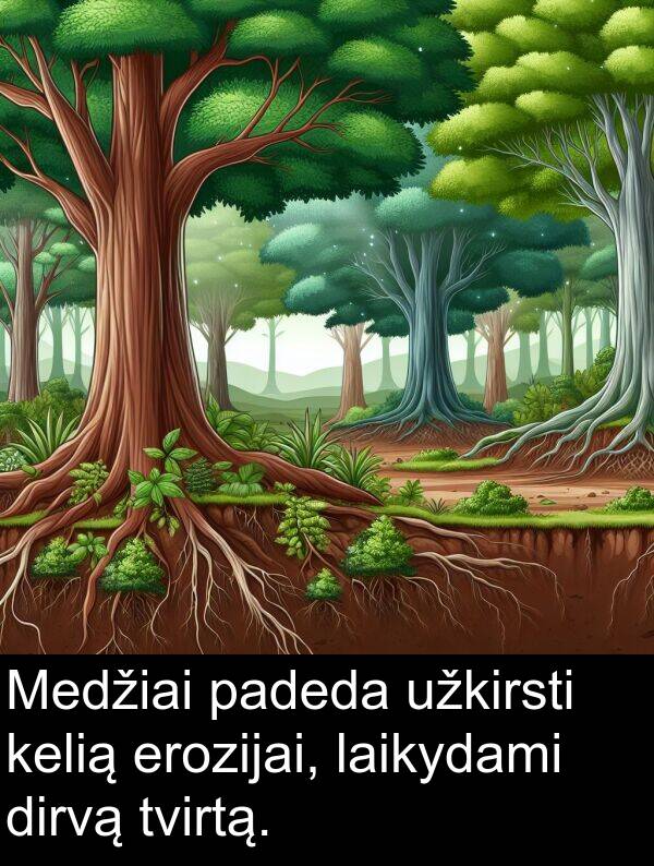 laikydami: Medžiai padeda užkirsti kelią erozijai, laikydami dirvą tvirtą.