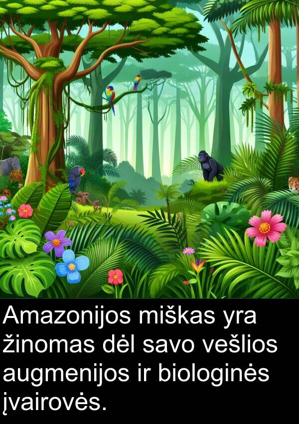 žinomas: Amazonijos miškas yra žinomas dėl savo vešlios augmenijos ir biologinės įvairovės.