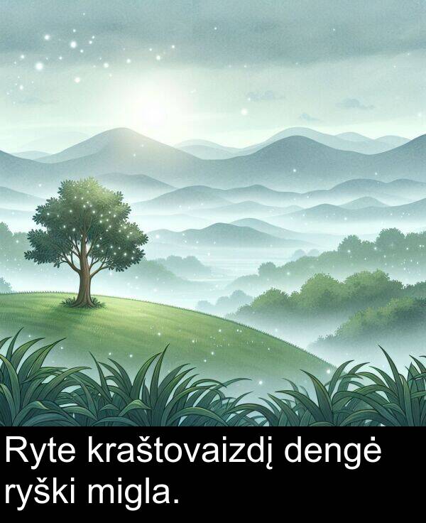 ryški: Ryte kraštovaizdį dengė ryški migla.