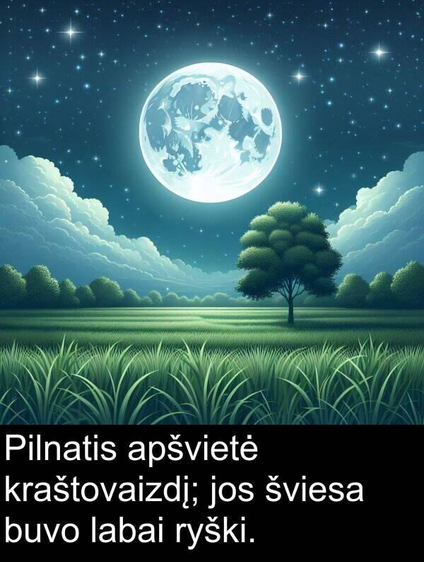 jos: Pilnatis apšvietė kraštovaizdį; jos šviesa buvo labai ryški.