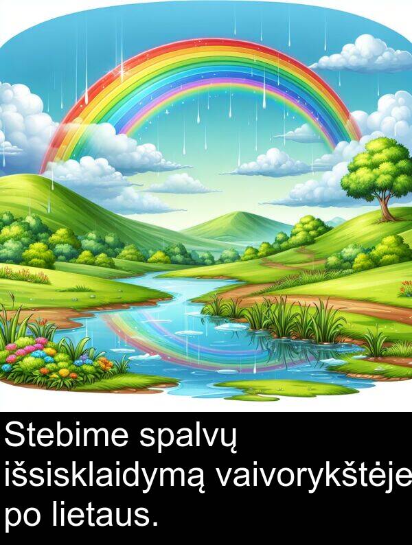 vaivorykštėje: Stebime spalvų išsisklaidymą vaivorykštėje po lietaus.