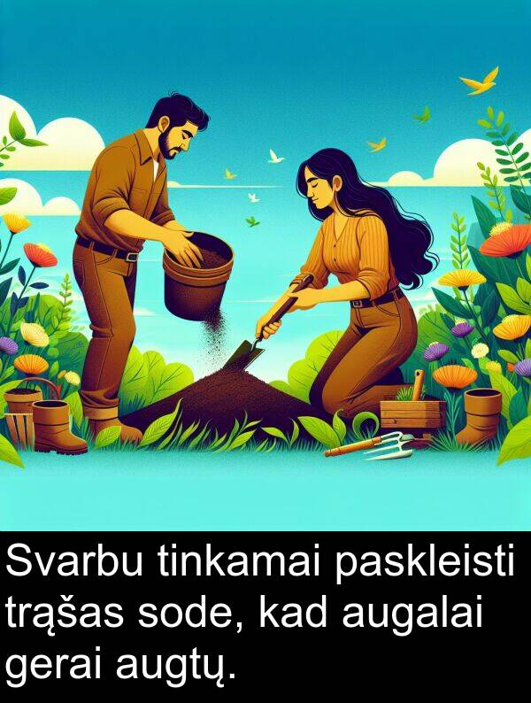 gerai: Svarbu tinkamai paskleisti trąšas sode, kad augalai gerai augtų.