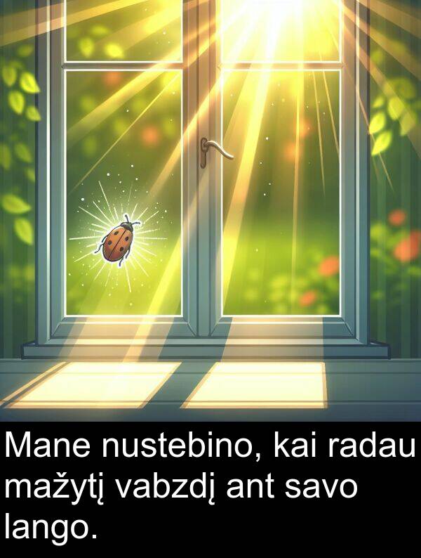 kai: Mane nustebino, kai radau mažytį vabzdį ant savo lango.