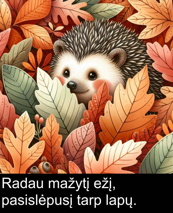 tarp: Radau mažytį ežį, pasislėpusį tarp lapų.