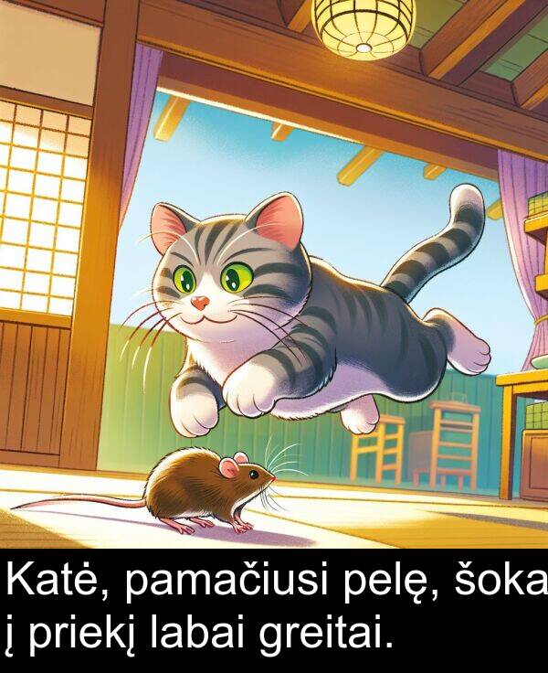 priekį: Katė, pamačiusi pelę, šoka į priekį labai greitai.