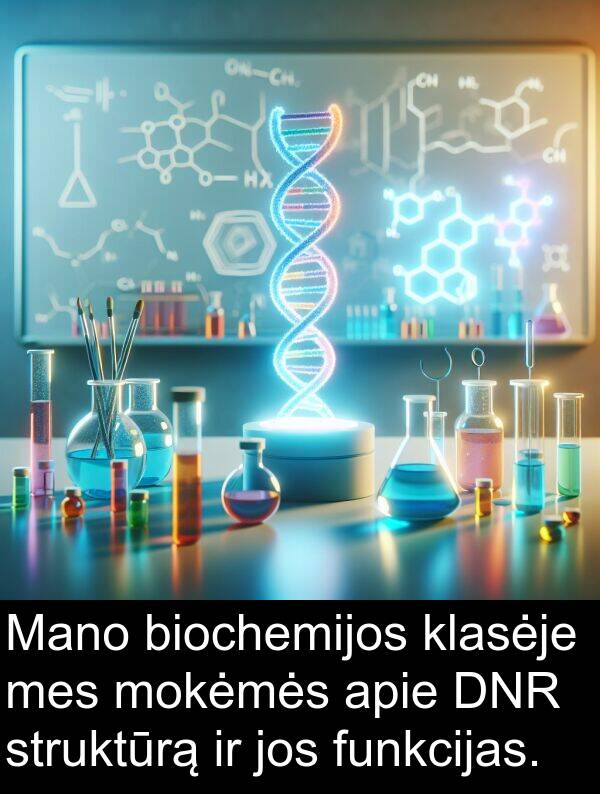 klasėje: Mano biochemijos klasėje mes mokėmės apie DNR struktūrą ir jos funkcijas.