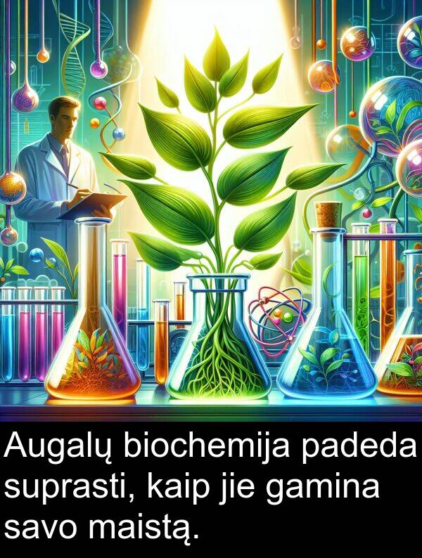 gamina: Augalų biochemija padeda suprasti, kaip jie gamina savo maistą.
