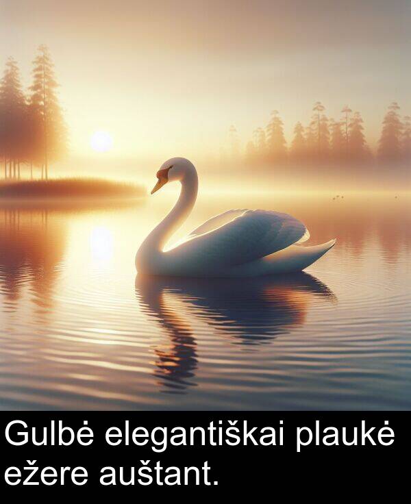 plaukė: Gulbė elegantiškai plaukė ežere auštant.