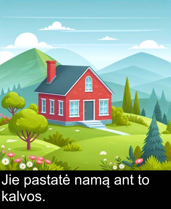 namą: Jie pastatė namą ant to kalvos.