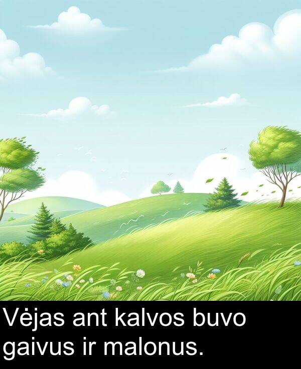 malonus: Vėjas ant kalvos buvo gaivus ir malonus.