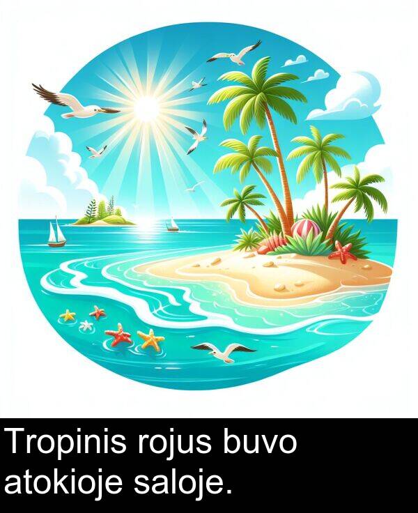 saloje: Tropinis rojus buvo atokioje saloje.