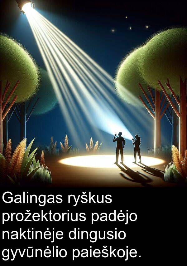 padėjo: Galingas ryškus prožektorius padėjo naktinėje dingusio gyvūnėlio paieškoje.