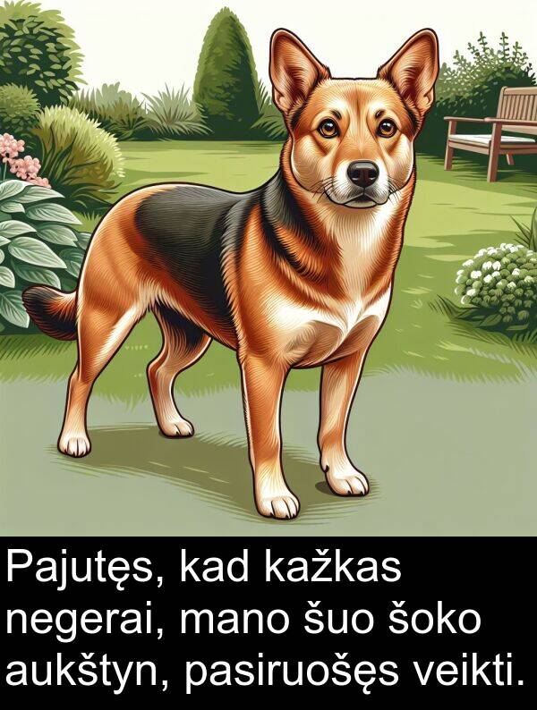 negerai: Pajutęs, kad kažkas negerai, mano šuo šoko aukštyn, pasiruošęs veikti.