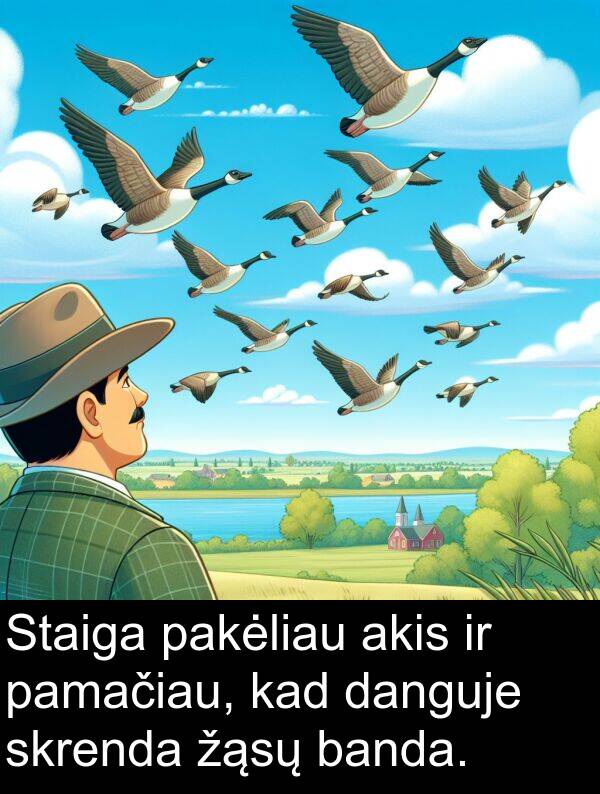 danguje: Staiga pakėliau akis ir pamačiau, kad danguje skrenda žąsų banda.