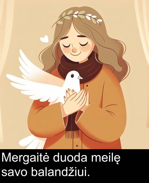 balandžiui: Mergaitė duoda meilę savo balandžiui.