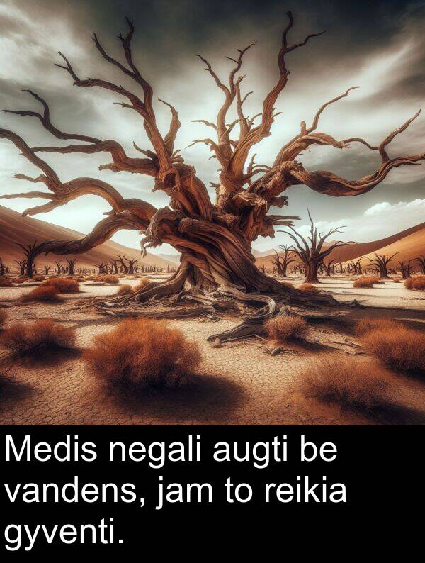 negali: Medis negali augti be vandens, jam to reikia gyventi.