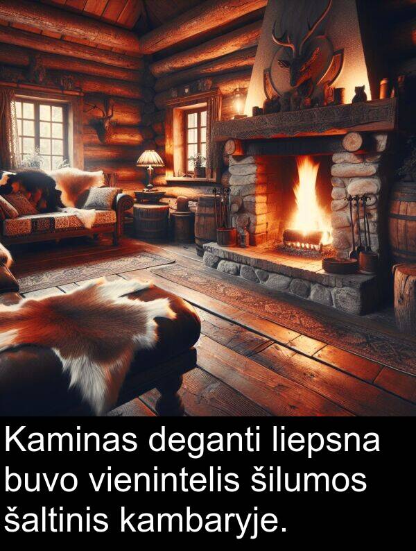 šaltinis: Kaminas deganti liepsna buvo vienintelis šilumos šaltinis kambaryje.