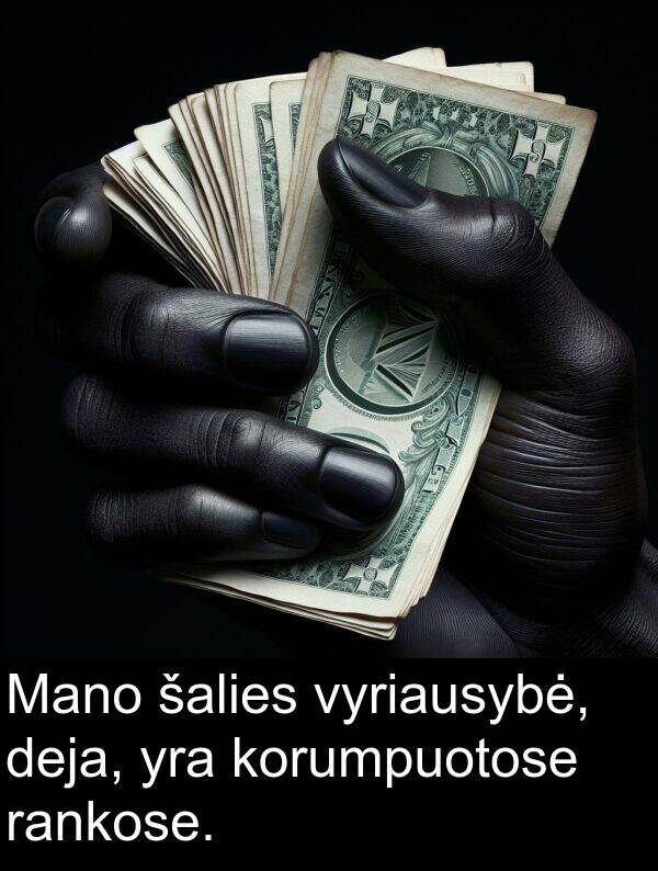šalies: Mano šalies vyriausybė, deja, yra korumpuotose rankose.