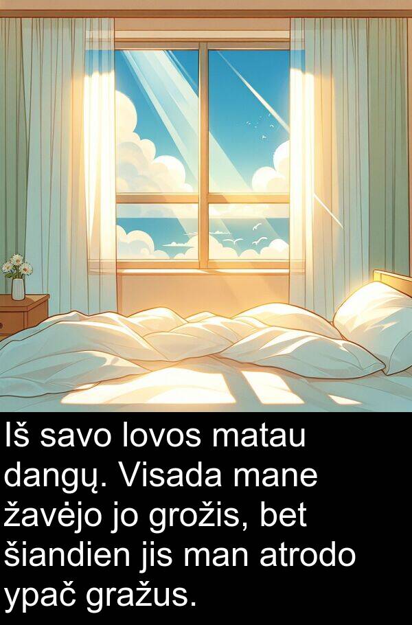 šiandien: Iš savo lovos matau dangų. Visada mane žavėjo jo grožis, bet šiandien jis man atrodo ypač gražus.