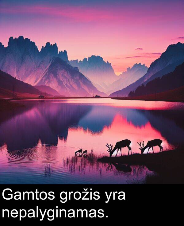 nepalyginamas: Gamtos grožis yra nepalyginamas.