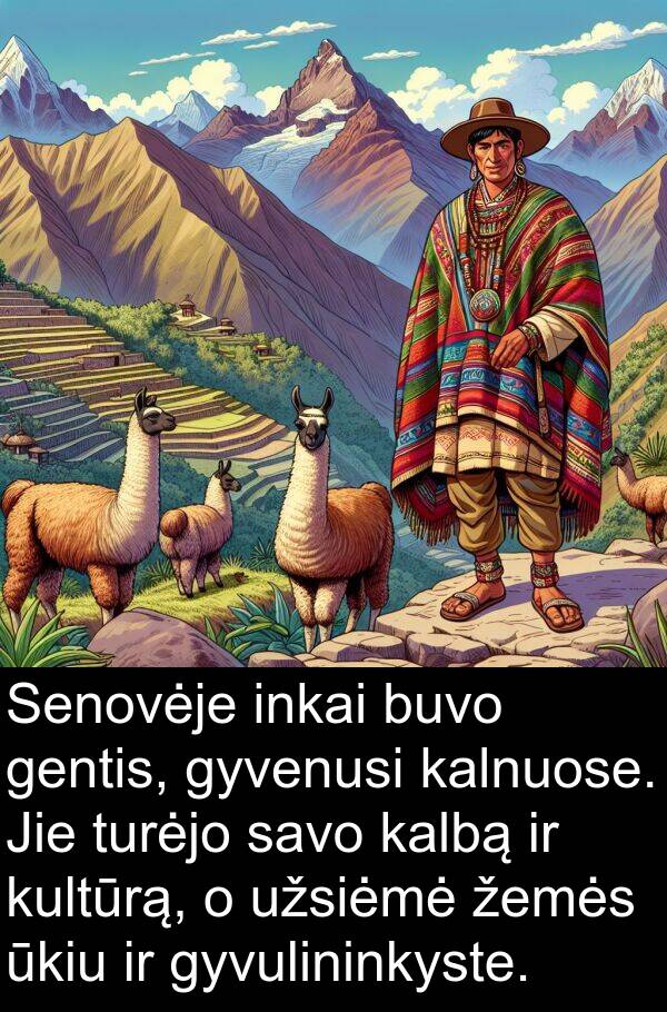 kalnuose: Senovėje inkai buvo gentis, gyvenusi kalnuose. Jie turėjo savo kalbą ir kultūrą, o užsiėmė žemės ūkiu ir gyvulininkyste.